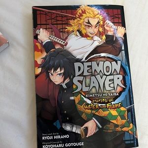 Demon slayers manga